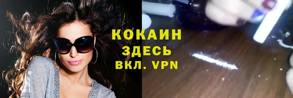 СК Алексин