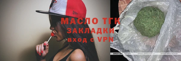 СК Алексин
