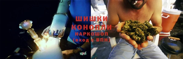 гидропоника Алзамай