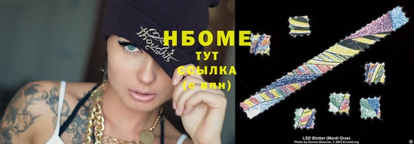 гидропоника Алзамай
