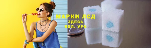 СК Алексин