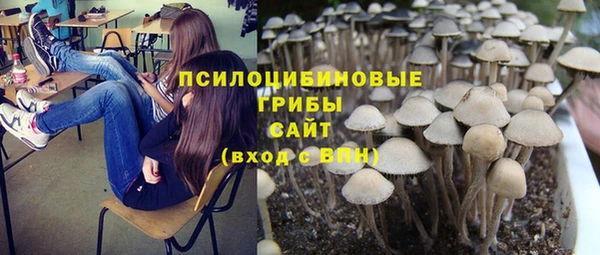 СК Алексин