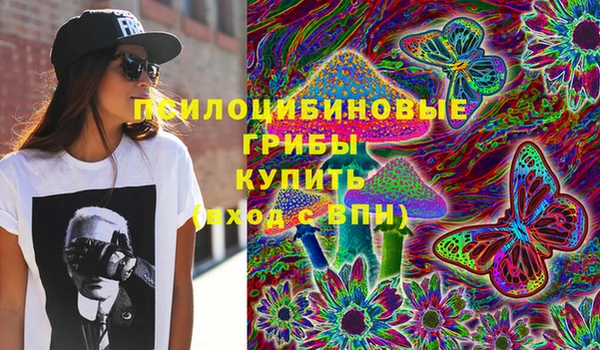 СК Алексин