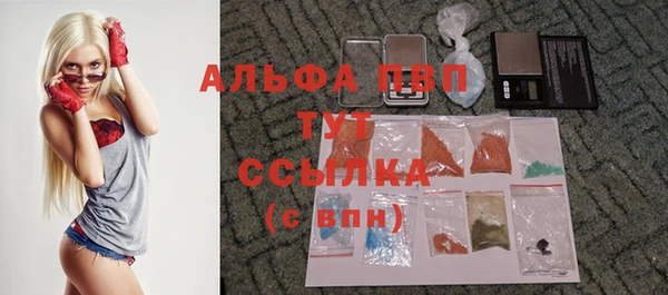 гидропоника Алзамай