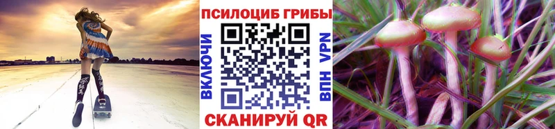 Псилоцибиновые грибы Psilocybe  Анжеро-Судженск 