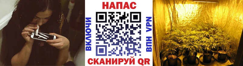 где купить наркотик Анжеро-Судженск Каннабис AK-47